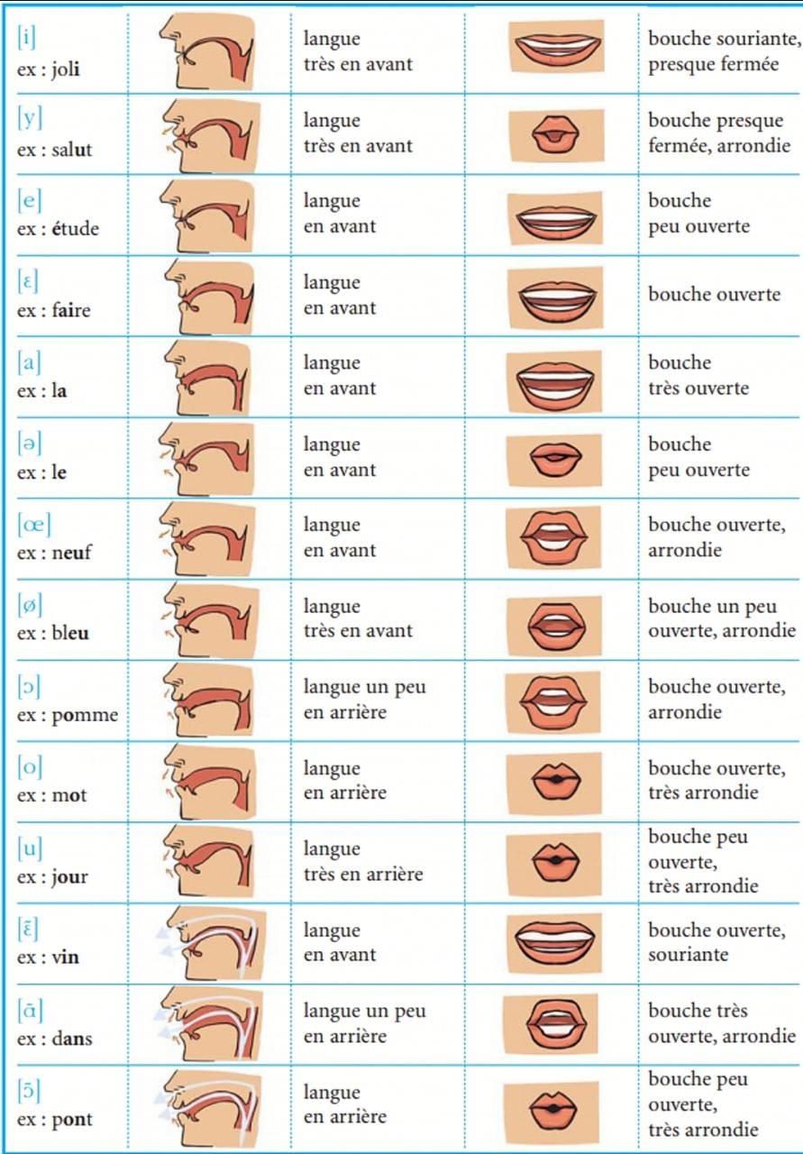 طريقة نطق حروف اللغة الفرنسية Taallim